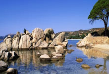 天涯社区国际：全球华人的情感港湾，你了解吗？